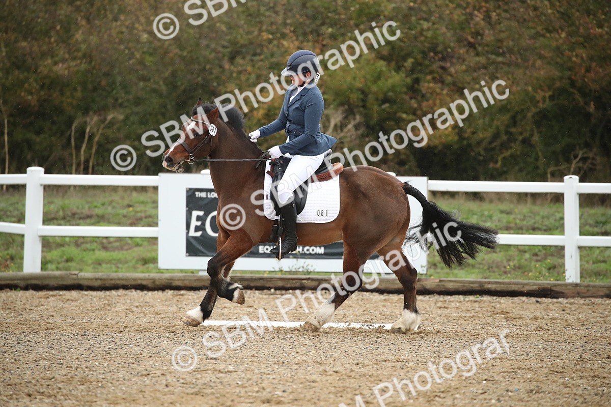 SBM_001693 - Prelim 2