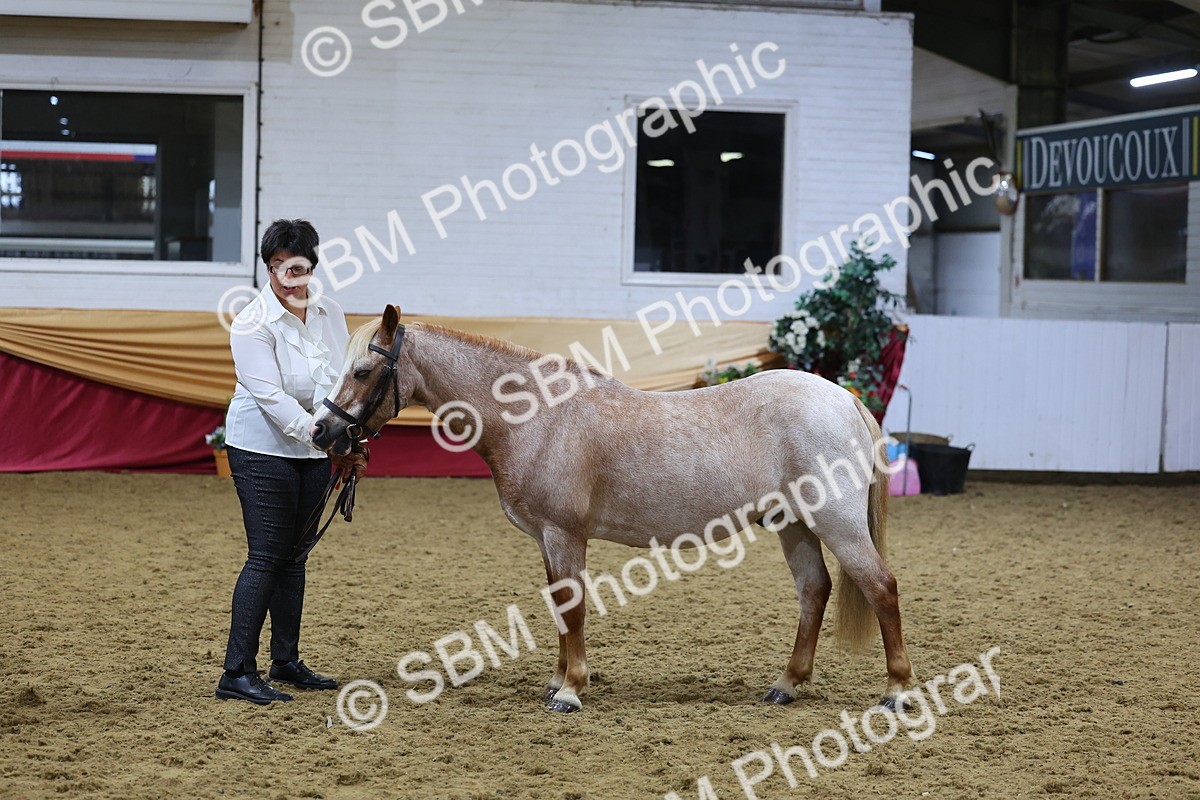 SBM_21031 - Class 902 - Supreme Final IH Veteran