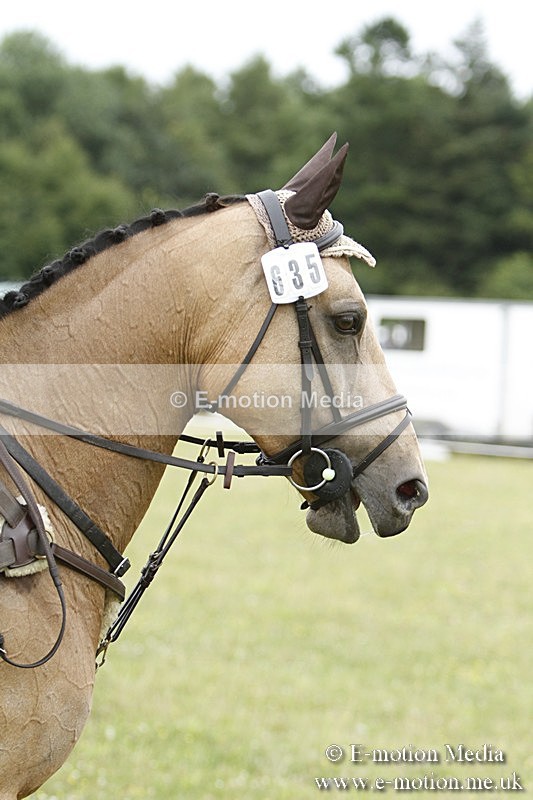 BVR160717-946 - Ring 3 BVRC Show 16/07/17