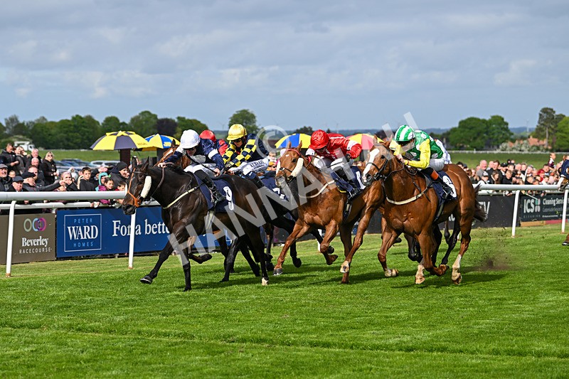 050525-Race 5-Hover On The Wind-4962 - Race 5