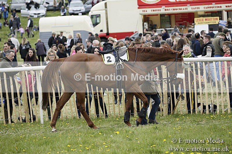 PtP 170417 468 - Old Berks Point-to-Point Lockinge 17/04/17