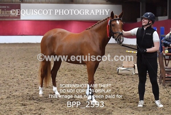 BPP_2593 - LOOSE JUMPING / SPSS