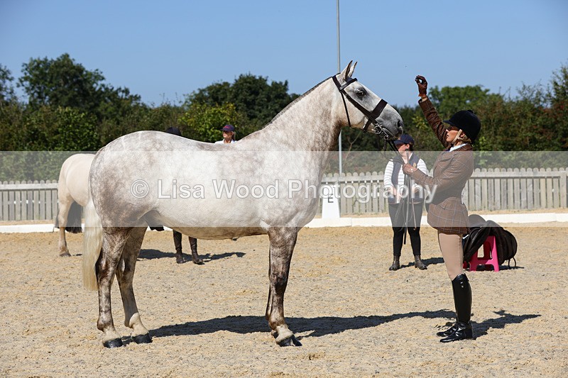 1X9A8080 - Class 11: Open Cob