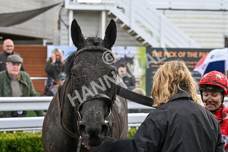  - Race 5
