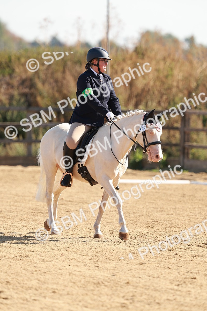 SBM_009300 - Class 2 - Intro 3