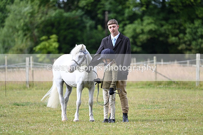 WJ7_4692 - Class 1 Lead Rein Pony