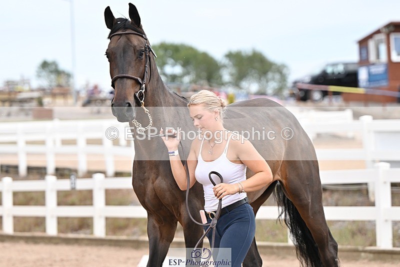 250716-161032-02491 - Trot Up 3.30 to 4.30