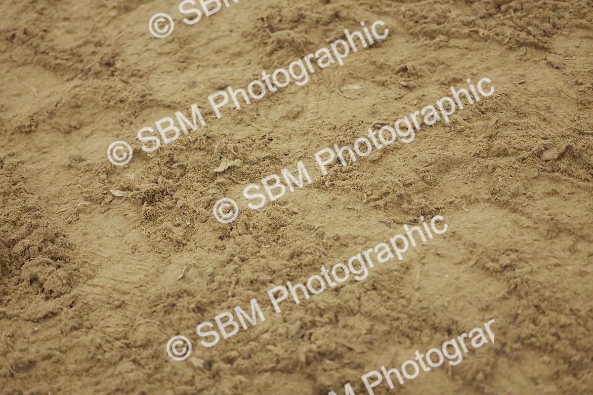 SBM_005005 - Class 6 - Chase Me Charlie