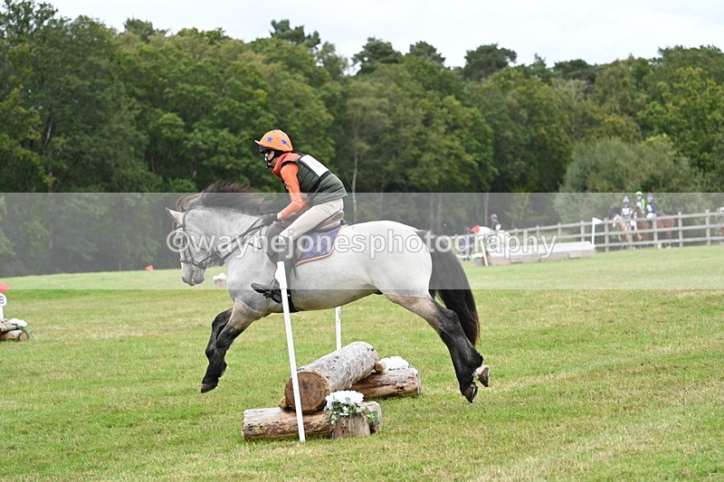 WJ7_8686 - 60cm Time 12:31 to 12:50