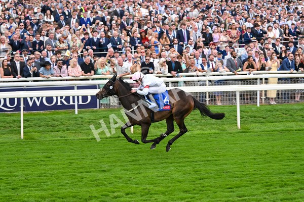 230825-Race 4-Ethical Diamond-0596 - Race 4 3.35pm Sky Bet Ebor Handicap