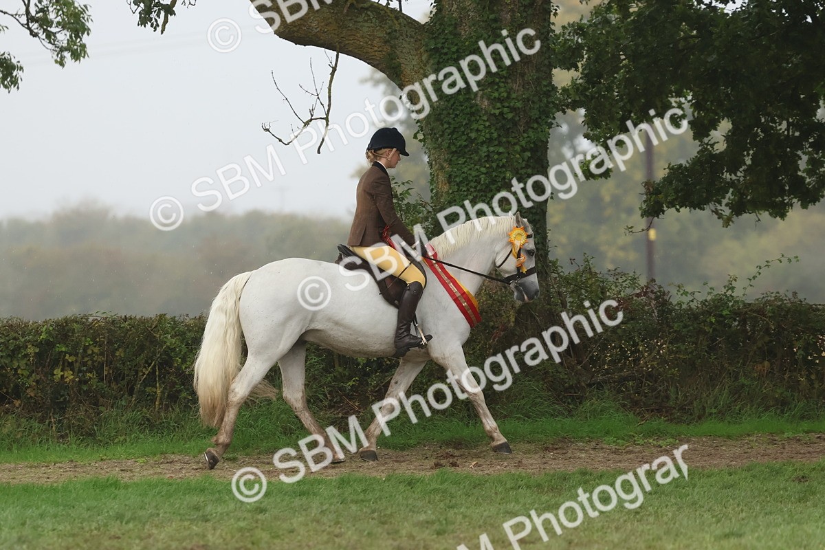 SBM_73192 - Super Supreme Championship(Sun)
