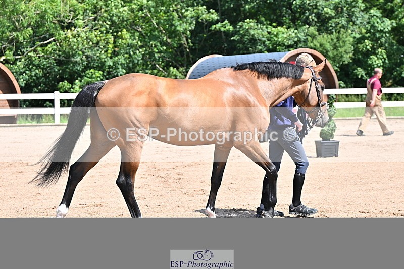 240718A-105237-00930 - Trot Up 11am to 12pm