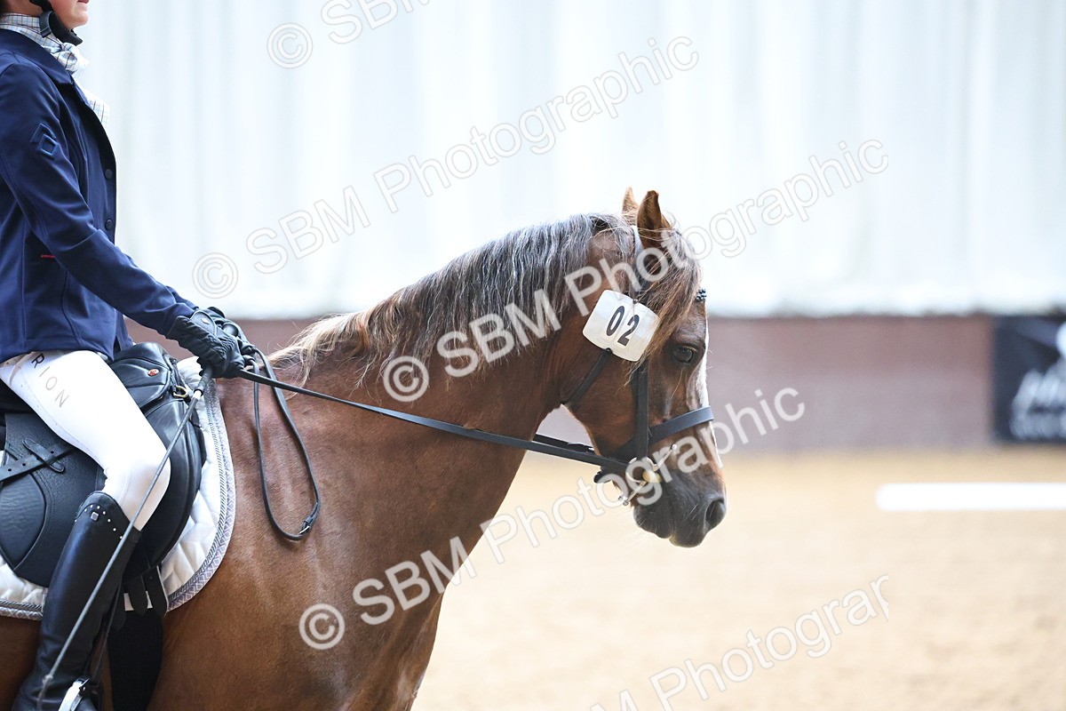 SBM_004734 - Class 2 - Prelim 4-5