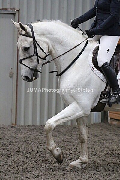 SIAL5751 - CAbin Dressage 5th july 2025