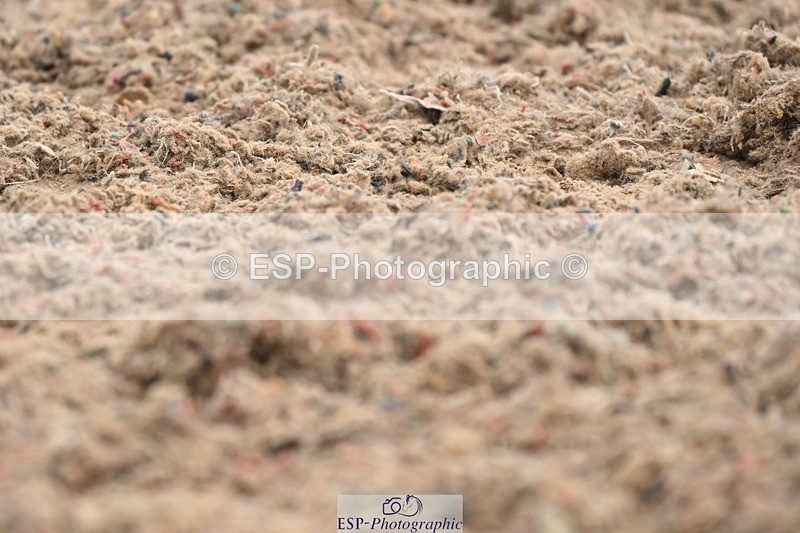 250705-093136-00809 - Intro3 Sections BDI3SEN, BDI3JNR 09.30 to 10.36