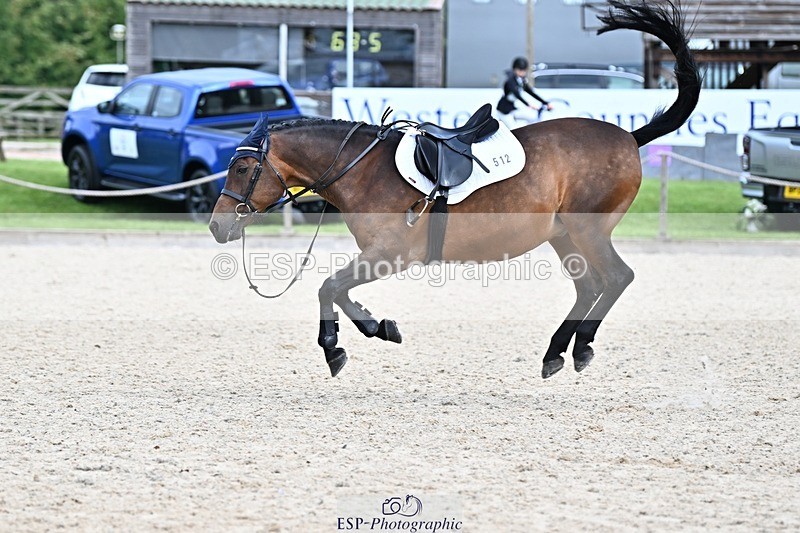 230825-104143-08714 - Round 2 Start to 11.15 coursewalk