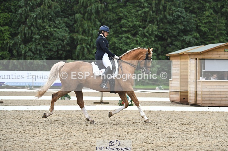 240720-144726-05800 - 187-Clare_Smith-Dori_Dragon_Fly