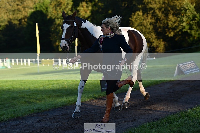 231022-085830-21483 - 669-FOXRIDGE.HIGH.JINX-Claire.Deuten-TrotUp+SJ