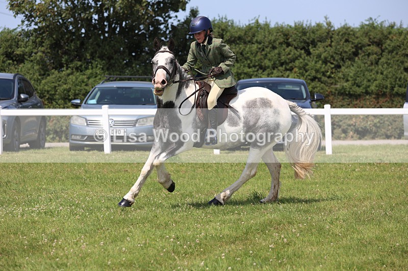 JPP_3273 - Class 22: Working Hunter 70cm