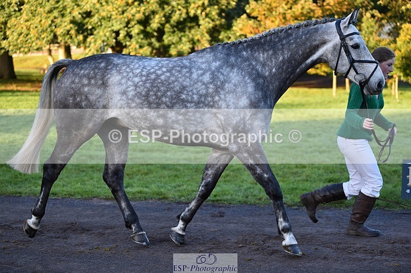 231022-084300-21311 - 662-PAULS.JOE-Eliza.Hallett-TrotUp+SJ