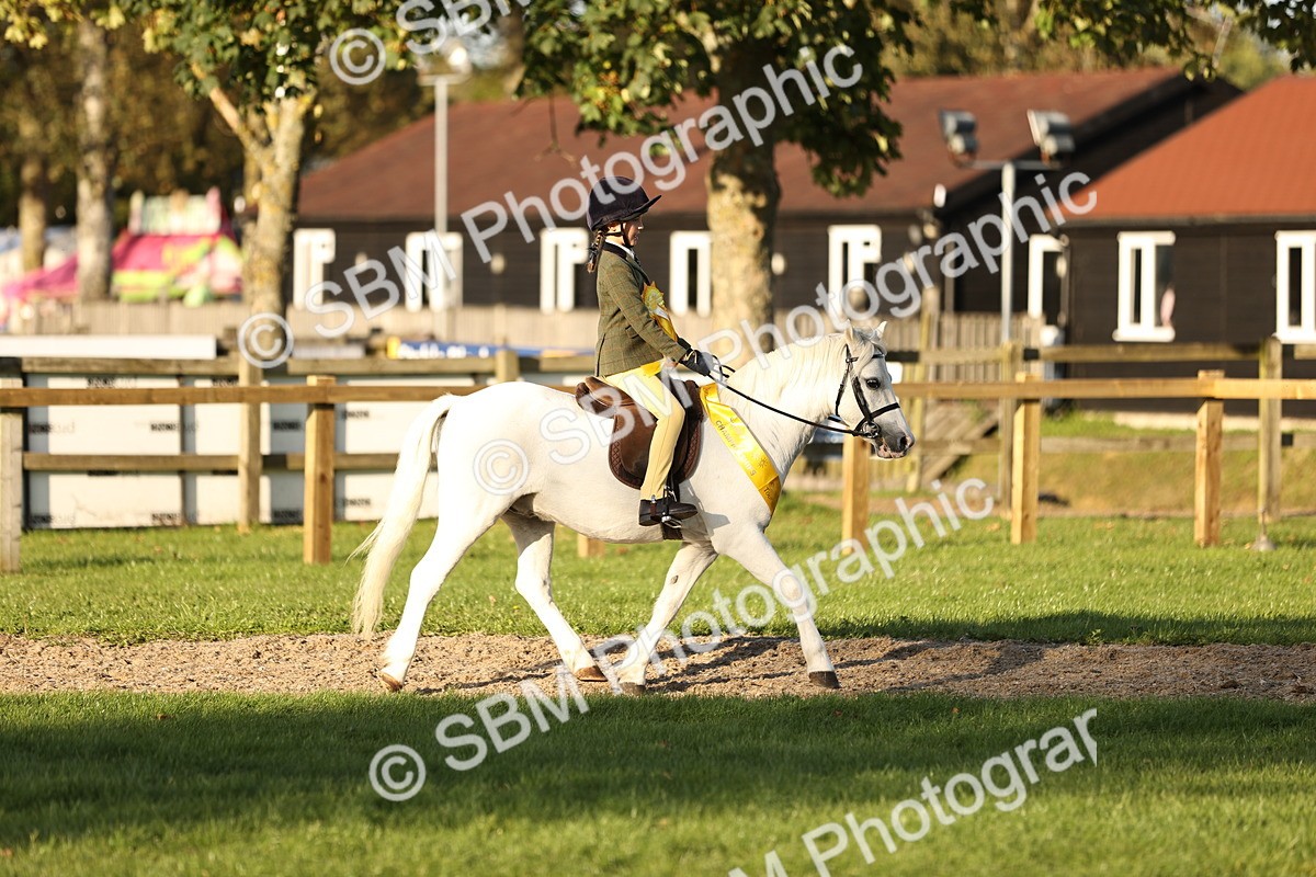 SBM_30105 - Novice & Newcomers Supreme Championship