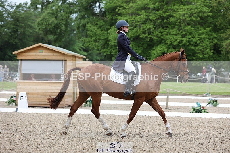 240524-090117-07032 - 251-MILESTONE_GOLD-Gaby_Bull