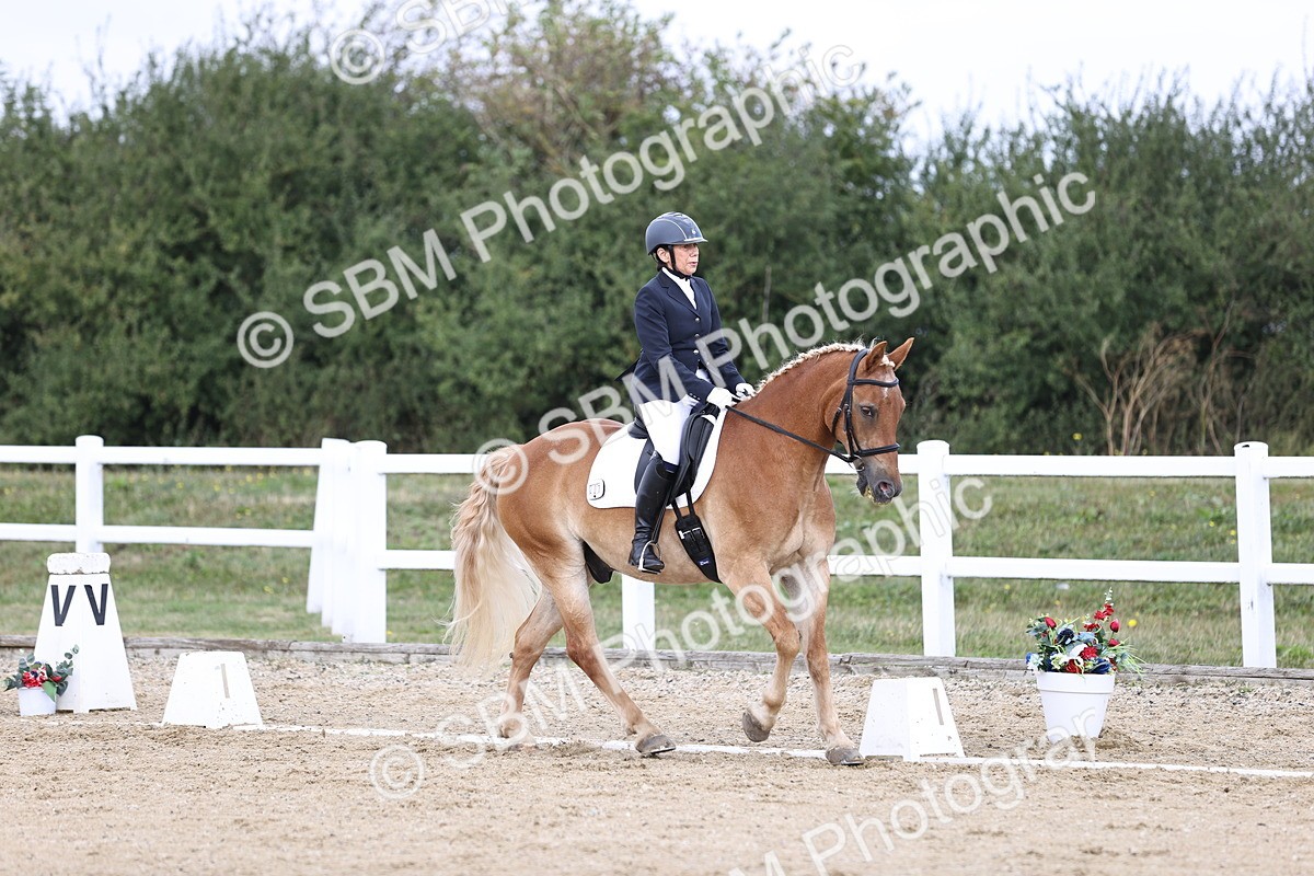 SBM_016771 - Class 14 Novice 23 - 11.53-12.56