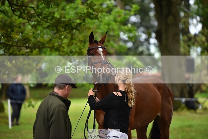 240522-173010-01657 - 292-MY_DREAM_H.J.-Pippa_Royle