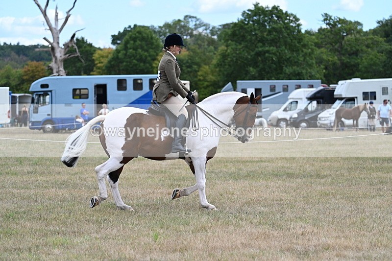 WJ7_4889 - Class 12 Ridden Cob