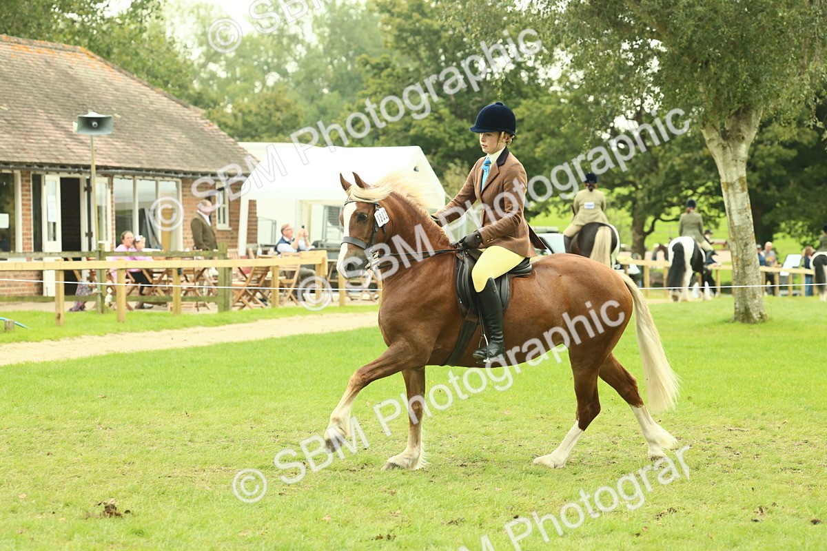 SBM_72070 - S60 - Mountain & Moorland Ridden Large Breeds