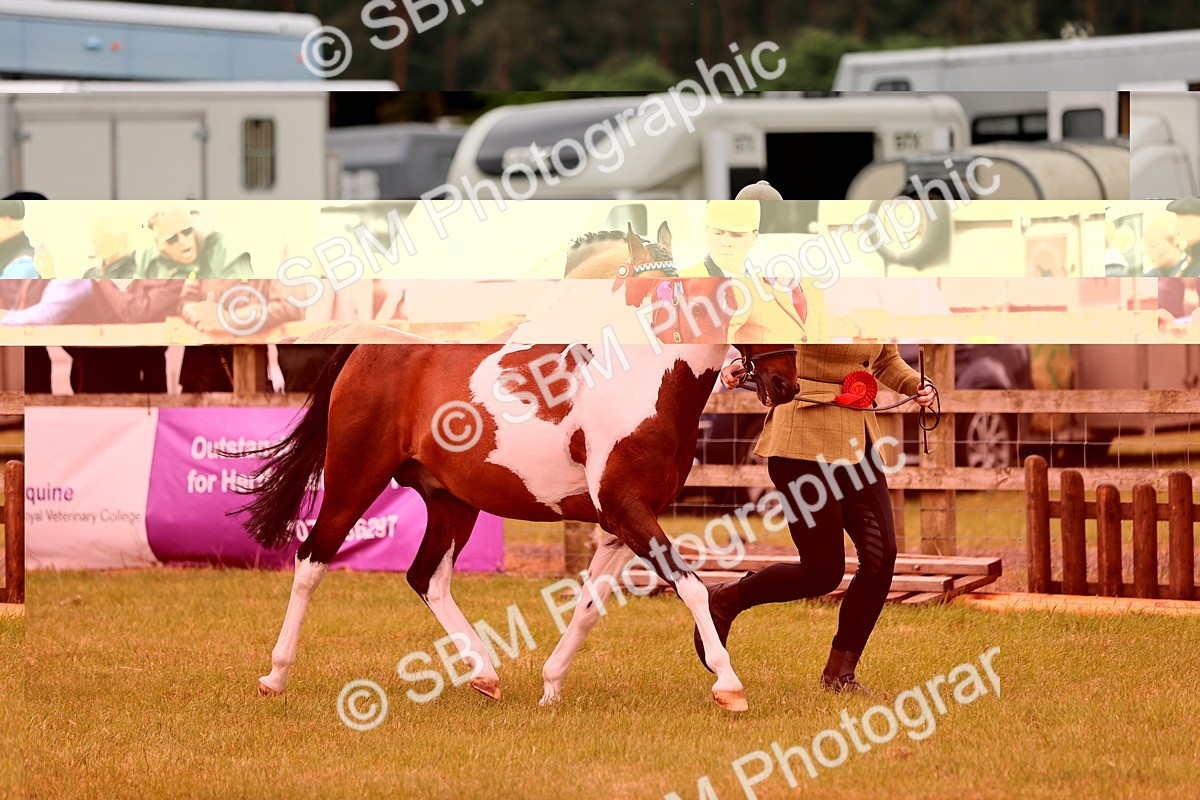 SBM_04740 - Class 5-8 - BSPA In hand