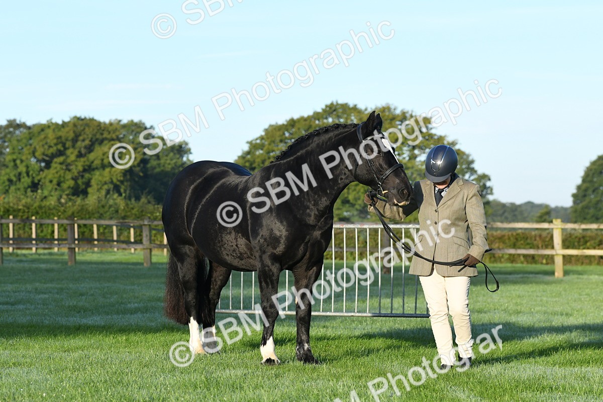 SBM_32526 - S15 - Condition & Turnout In Hand