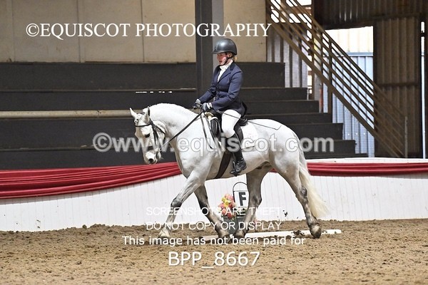 BPP_8667 - PRELIM 5