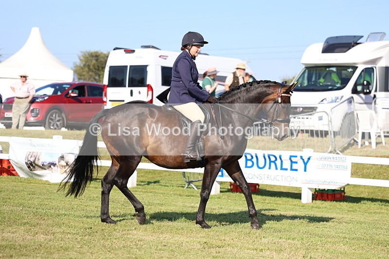 3E7A5225 - Class 2: Rising Star Large Hack/Riding Horse