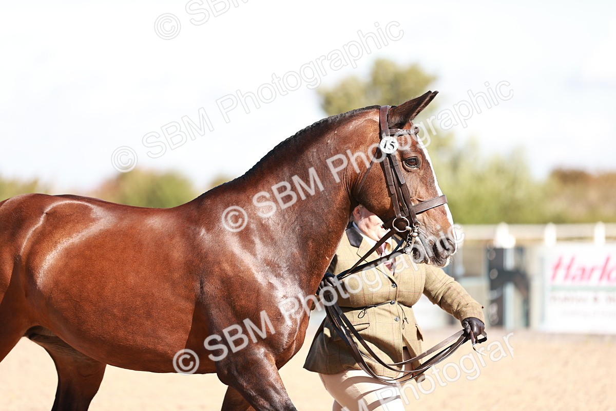 SBM_13229 - Class 405 - IH Show Cob