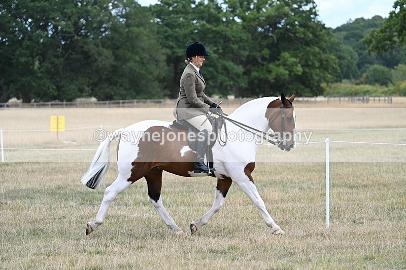 WJ7_4877 - Class 12 Ridden Cob