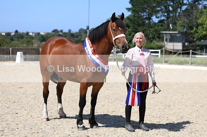 3E7A9958 - In Hand Championship