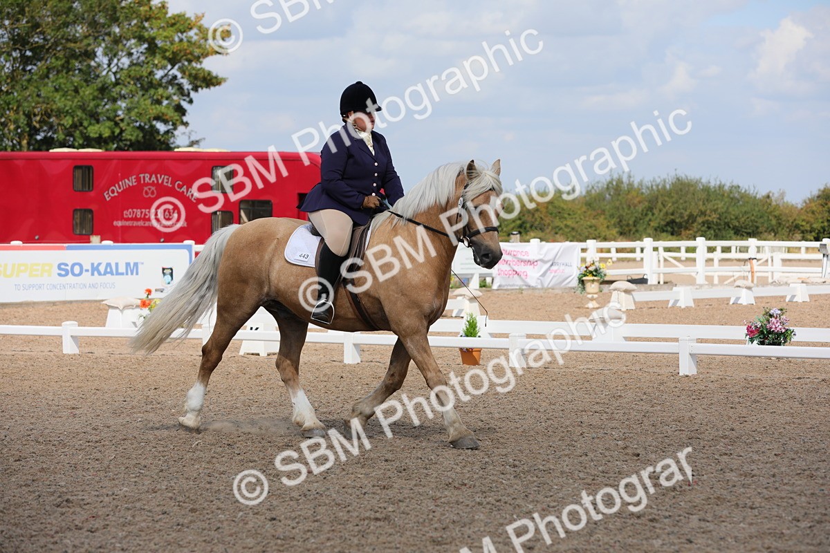 SBM_04041 - Class 31 Prelim 1