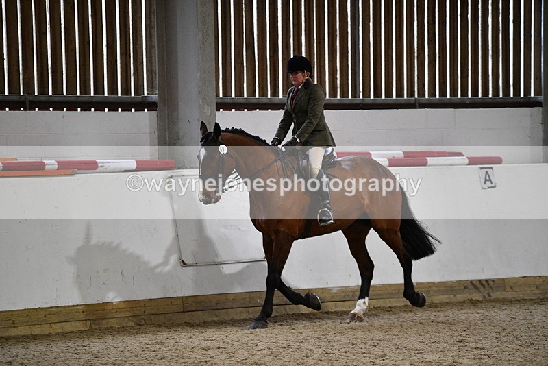 WJ5_9001 - Class 15 Ridden Show Horse