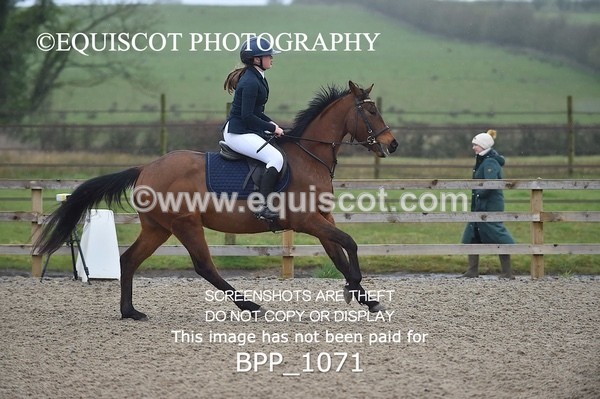 BPP_1071 - CLASS 1 Club/ Unaffiliated 60cms Open