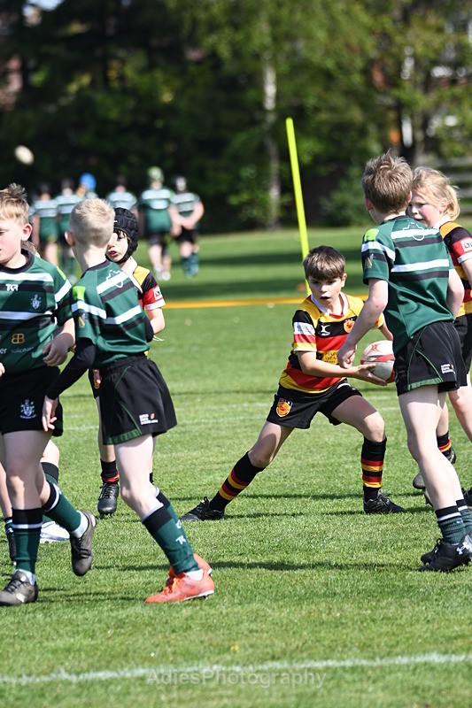  - Selby Rugby Festival 2025