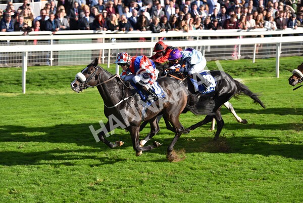 yr08102022r4-41 - Race 4 3.15pm The Coral Sprint Trophy