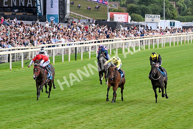 250726-Race 5-Rogue Jewel-1061 - Race 5 15.42pm Sky Bet Price Boosts EBF Fillies' Novice Stakes