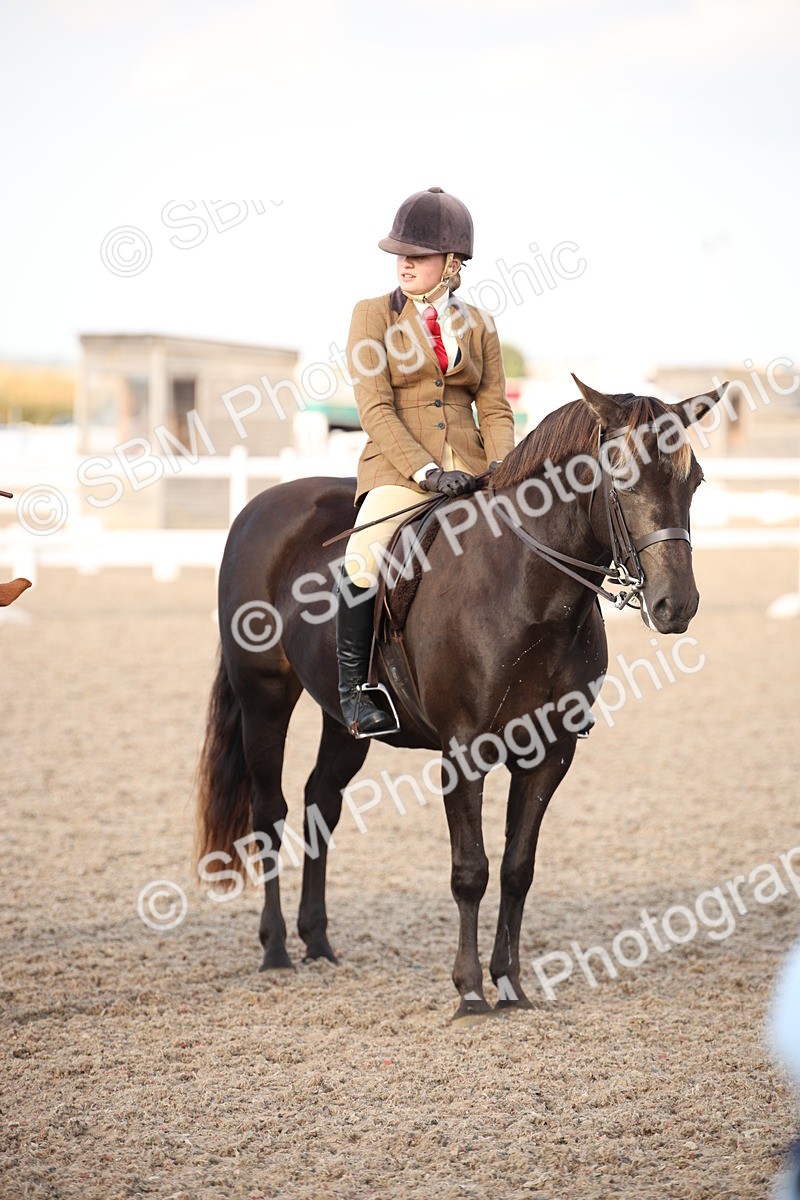 SBM_09204 - Regional Ridden Champ