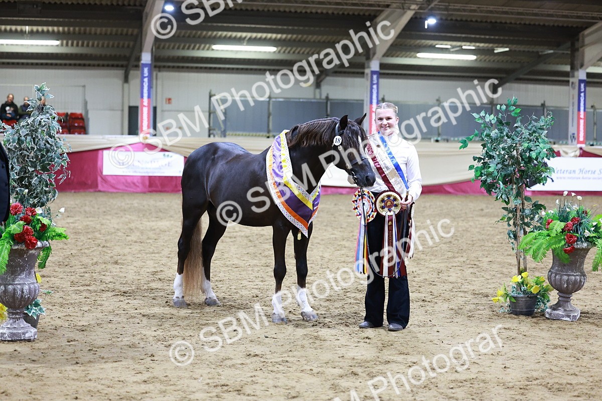 SBM_21082 - Class P - M&M Champs