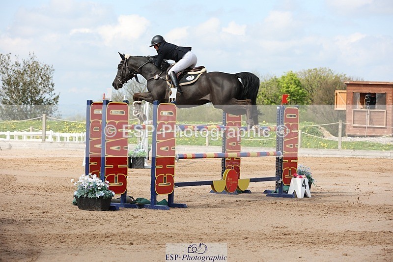 250427-111708-15908 - Cls 36 Young Horse 7yr old