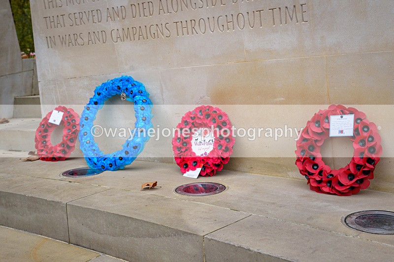 NGP_8331 - 2024 Animals in War Remembrance Gathering