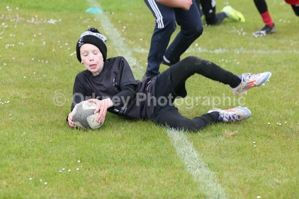 DAD22479 - Rookies/Mini Rugby on 7s Day
