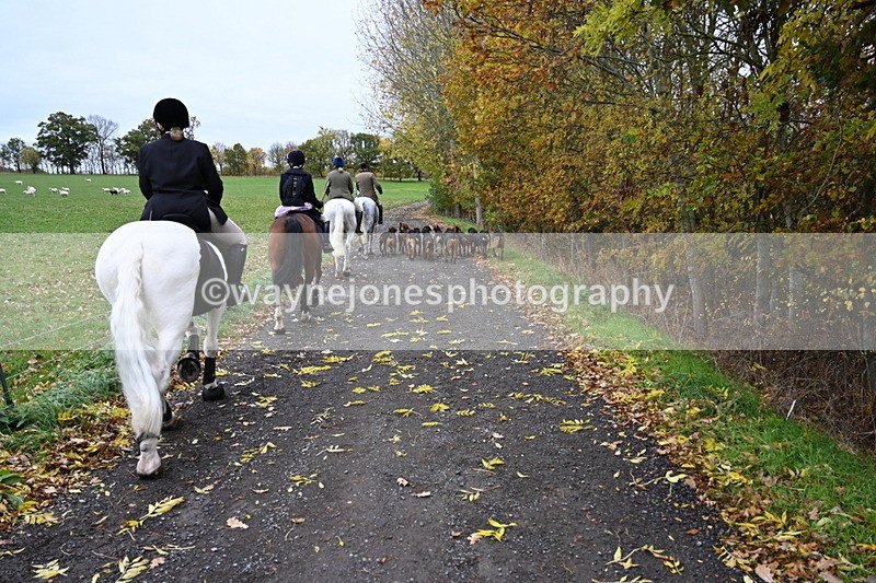 WJ6_9262 - Ride