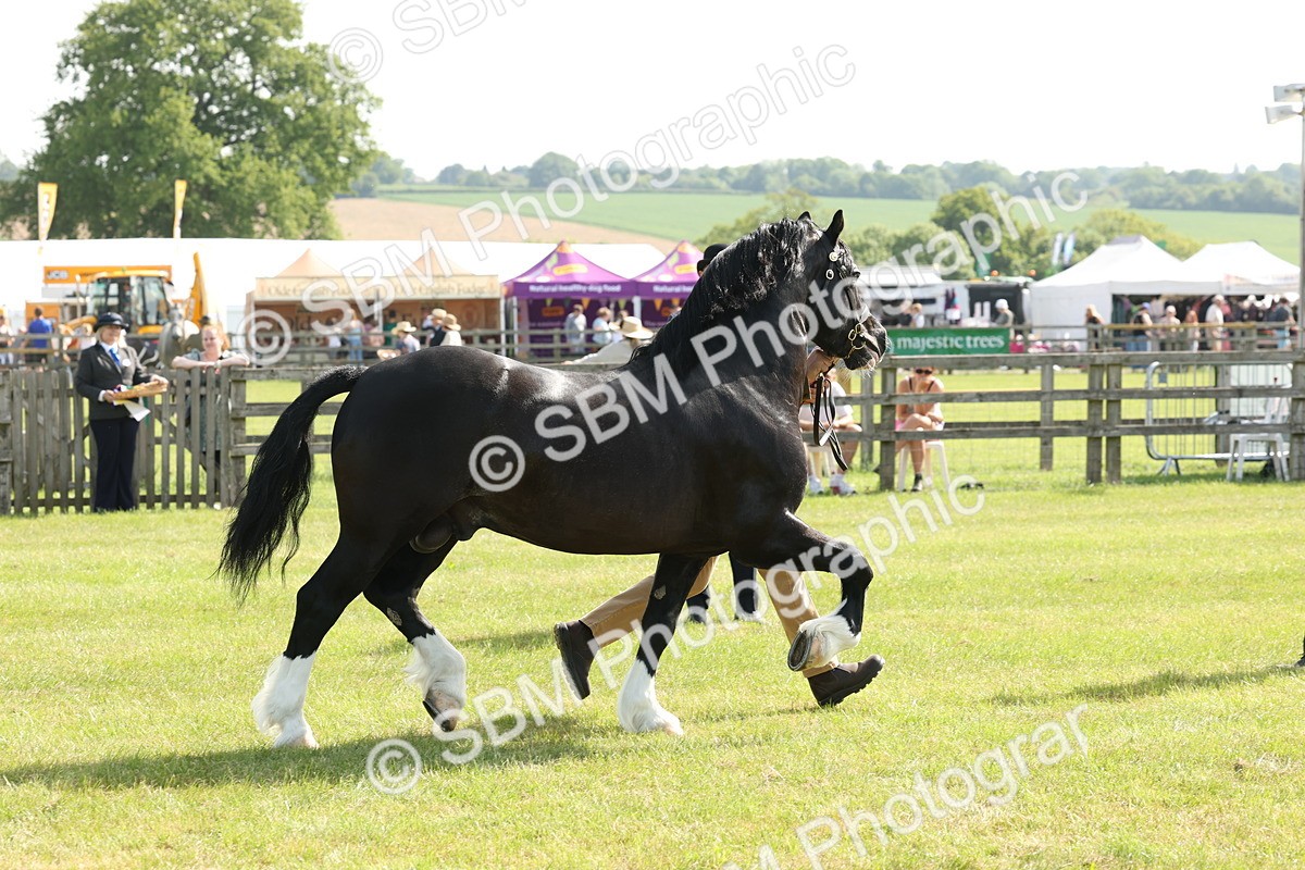SBM_02115 - Class 6-13 - Mountatin and Moorland In Hand Welsh Breeds